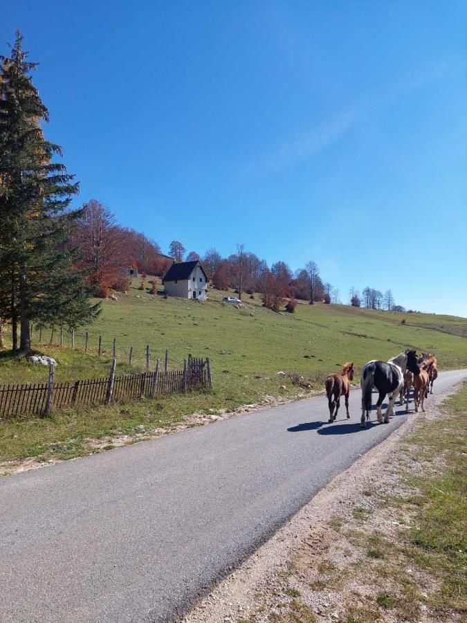 Blackberry House Zabljak Экстерьер фото